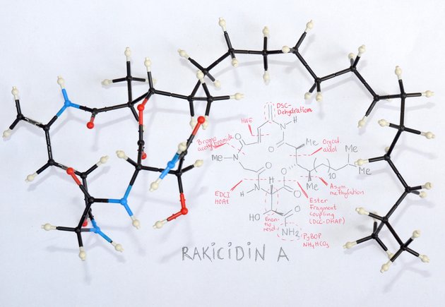 En model af den molekylære struktur af rakicidin A sammen med den overordnede synteseplan til at fremstille stoffet. Foto: AU