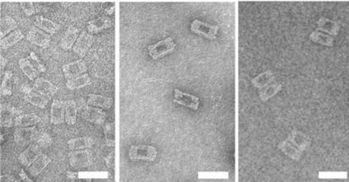 Elektronmikroskopier af åbne, lukkede og genåbnede DNA-nanobokse. (AU)